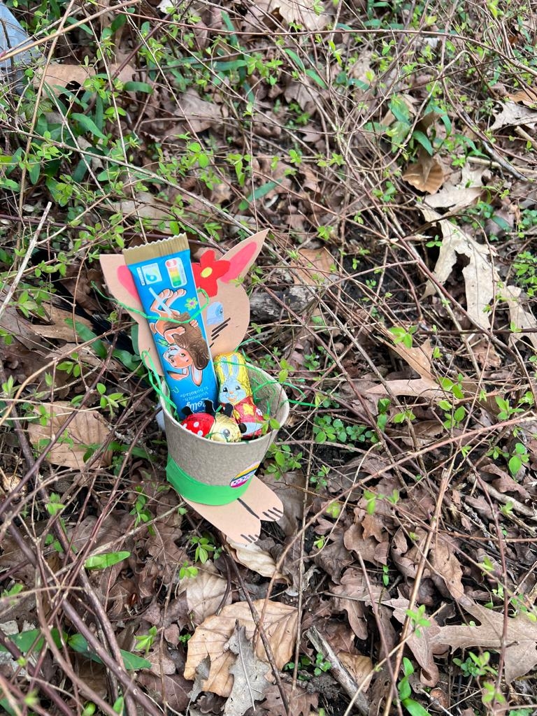 Eine kleine Überraschung vom Osterhasen. Ein Osterhase, der ein "Körbchen" mit süßen Überraschungen hält.