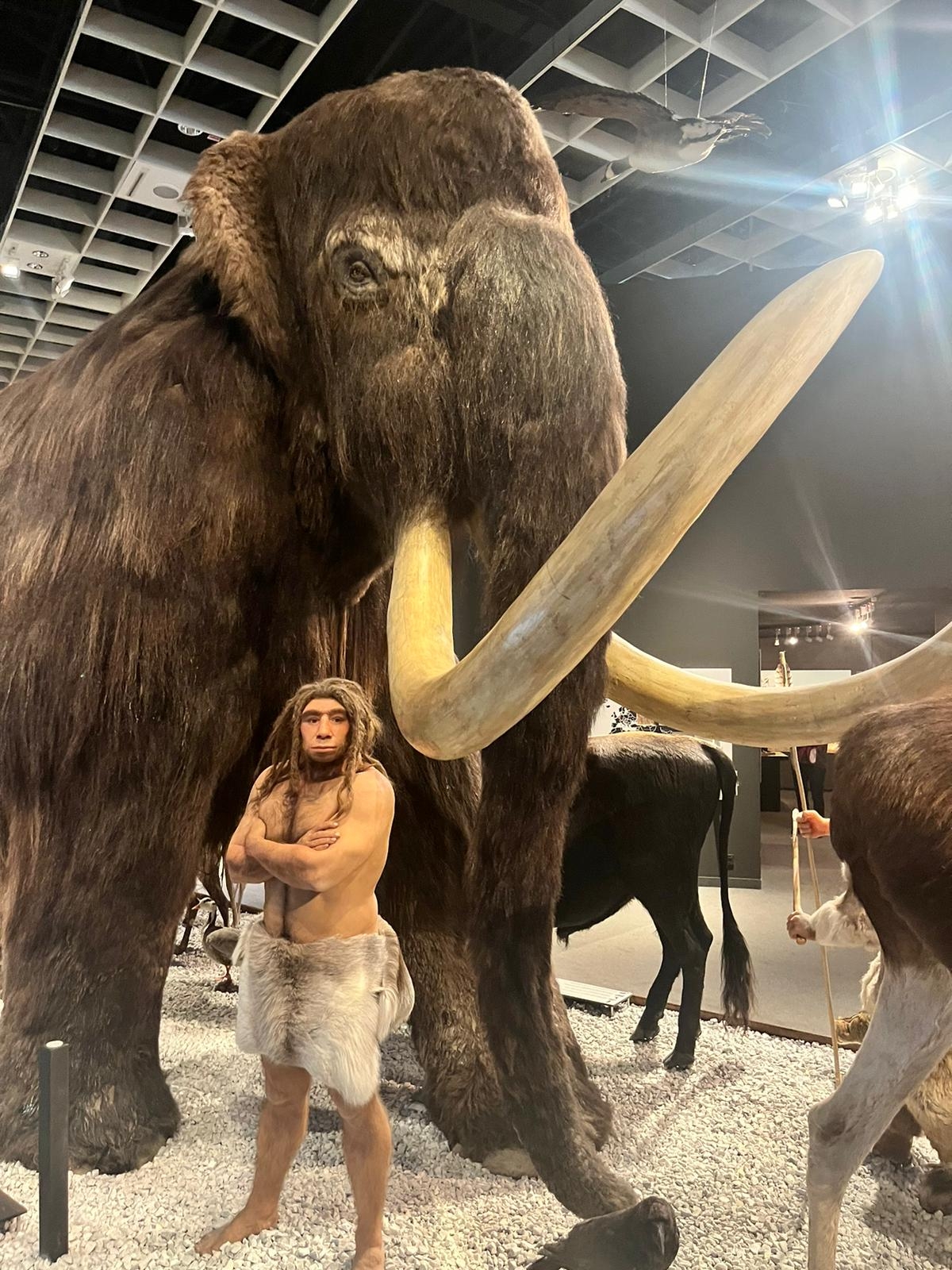 Ein Mammut und ein Neandertaler.