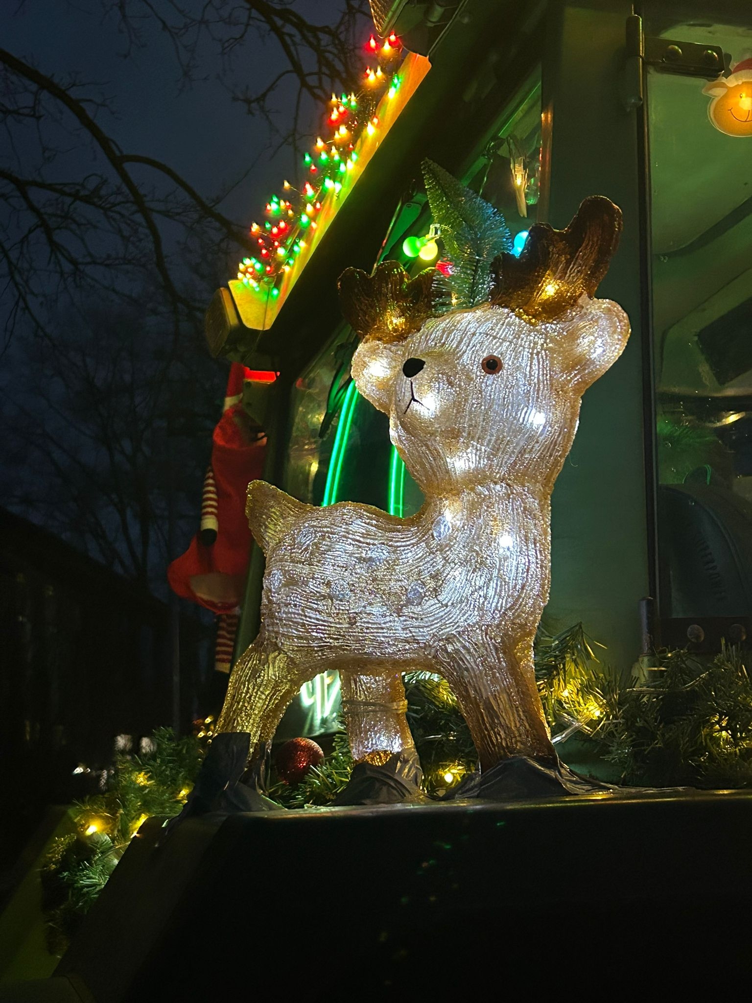 Beleuchteter Rudolph.