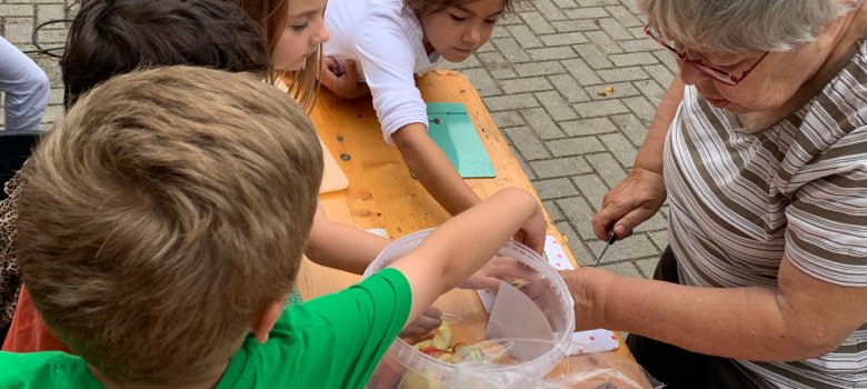 Kinder schneiden Äpfel in kleine Stücke