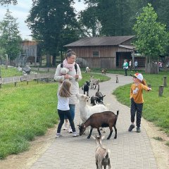 Kinder im Streichelzoo