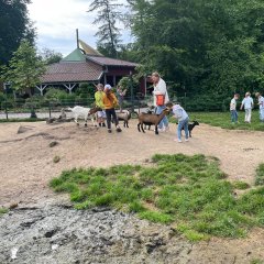 Kinder im Streichelzoo