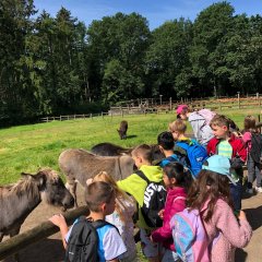 Kinder streicheln Esel