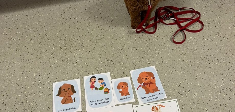 Unser Schulhund Hermine