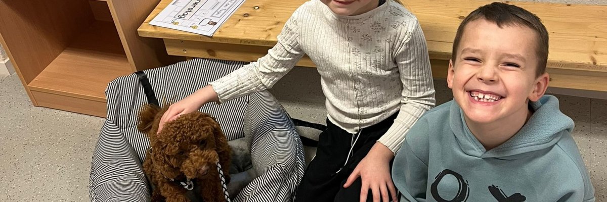 Unser Schulhund Hermine