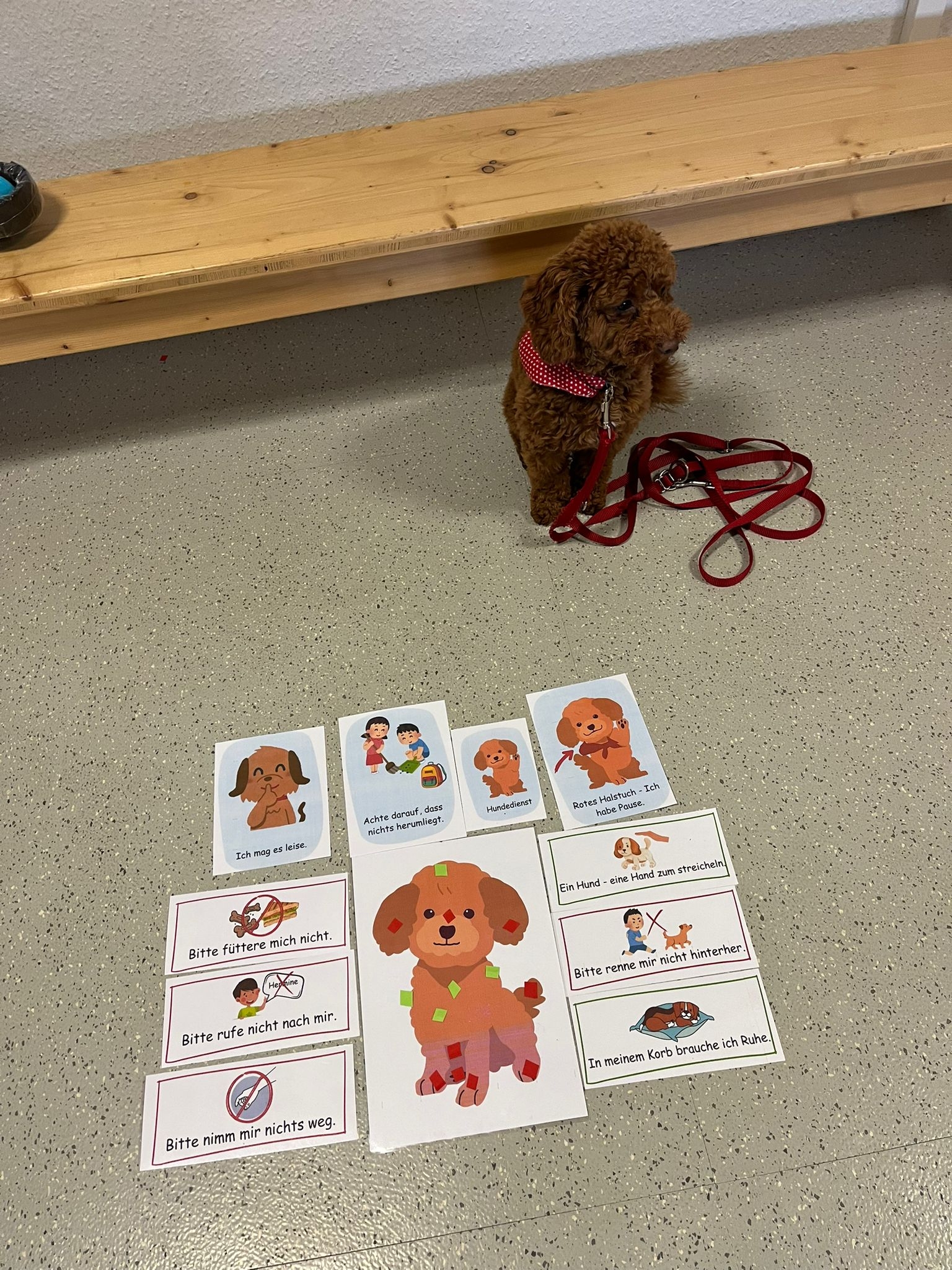 Unser Schulhund Hermine